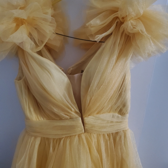 Mini Tulle Dress - Picture 7 of 16